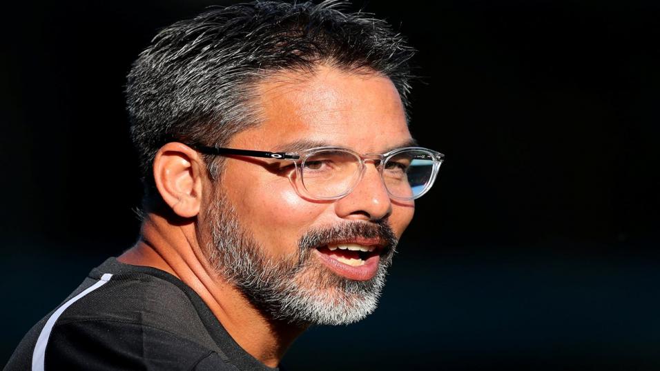 David Wagner Huddersfield